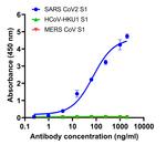 SARS-CoV-2 Spike Protein (RBD) Antibody in ELISA (ELISA)