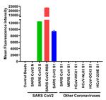 SARS-CoV-2 Spike Protein (RBD) Antibody