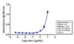 STAT1 Antibody in ELISA (ELISA)