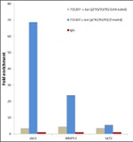 Phospho-c-Jun (Thr91, Thr93, Thr95) Antibody