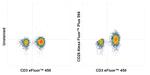 CD28 Antibody