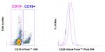 CD28 Antibody