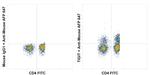 TIGIT Antibody in Flow Cytometry (Flow)