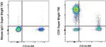 CD5 Antibody in Flow Cytometry (Flow)