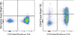 CD49f (Integrin alpha 6) Antibody in Flow Cytometry (Flow)