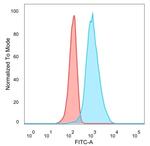 QKI/Protein Quaking Antibody in Flow Cytometry (Flow)