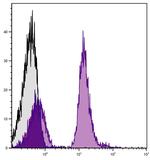 CD19 Antibody in Flow Cytometry (Flow)