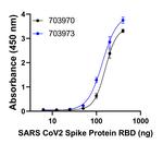 Human IgG Fab Secondary Antibody in ELISA (ELISA)