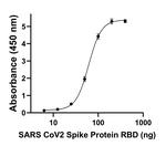 Human IgG (Heavy chain) Secondary Antibody in ELISA (ELISA)