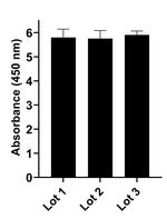 Human IgG (Heavy chain) Secondary Antibody in ELISA (ELISA)