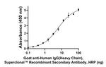 Human IgG (Heavy chain) Secondary Antibody in ELISA (ELISA)