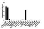 Human IgG (Heavy chain) Secondary Antibody