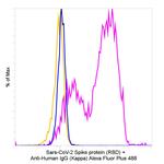 Human IgG (Kappa Light Chain) Secondary Antibody in Flow Cytometry (Flow)