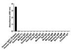 Human IgG (Kappa Light Chain) Secondary Antibody