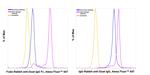 Goat IgG Fc Secondary Antibody in Flow Cytometry (Flow)