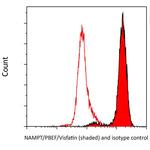 NAMPT/PBEF/Visfatin Antibody in Flow Cytometry (Flow)