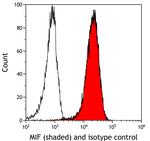 MIF Antibody in Flow Cytometry (Flow)