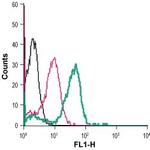 Adenosine A2B Receptor (extracellular) Antibody in Flow Cytometry (Flow)