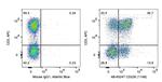 CD226 Antibody in Flow Cytometry (Flow)