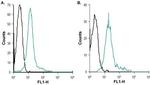 CXCR7 (ACKR3) (extracellular) Antibody in Flow Cytometry (Flow)