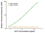 ACY1 Antibody in Luminex (LUM)