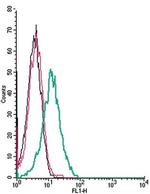 D2 Dopamine Receptor (extracellular) Antibody in Flow Cytometry (Flow)