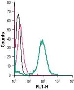 EphA6 (extracellular) Antibody in Flow Cytometry (Flow)