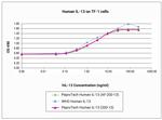 Human IL-13, Animal-Free Protein in Functional Assay (Functional)