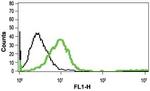 mGluR1 (extracellular) Antibody in Flow Cytometry (Flow)