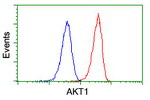 AKT1 Antibody in Flow Cytometry (Flow)