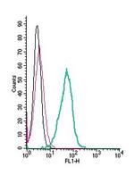 CLEC7A/Dectin-1 (extracellular) Antibody in Flow Cytometry (Flow)