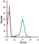 Lynx1 (extracellular) Antibody in Flow Cytometry (Flow)