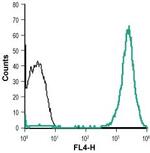 Neuropilin-2 (NRP2) (extracellular) Antibody in Flow Cytometry (Flow)