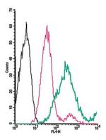 TMEM119 (extracellular) Antibody in Flow Cytometry (Flow)