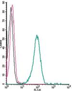 KV1.3 (KCNA3) (extracellular) Antibody in Flow Cytometry (Flow)