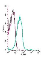 KV1.3 (KCNA3) (extracellular) Antibody in Flow Cytometry (Flow)