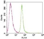 KV1.3 (KCNA3) (extracellular) Antibody in Flow Cytometry (Flow)