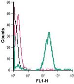 Plexin-A3 (extracellular) Antibody in Flow Cytometry (Flow)