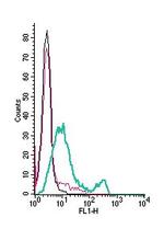 P2Y10 (extracellular) Antibody in Flow Cytometry (Flow)