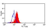 B7-H4 Antibody in Flow Cytometry (Flow)