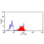 B7-H4 Antibody in Flow Cytometry (Flow)