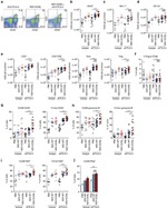 CD45.2 Antibody in Flow Cytometry (Flow)