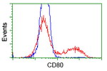 CD80 Antibody in Flow Cytometry (Flow)