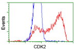 CDK2 Antibody in Flow Cytometry (Flow)