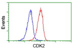 CDK2 Antibody in Flow Cytometry (Flow)