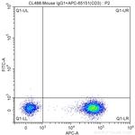 CD19 Antibody in Flow Cytometry (Flow)