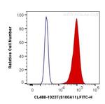 S100A11 Antibody in Flow Cytometry (Flow)