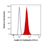 DNAJB1 Antibody in Flow Cytometry (Flow)