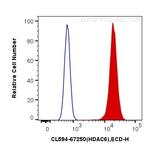 HDAC6 Antibody in Flow Cytometry (Flow)