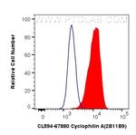 Cyclophilin A Antibody in Flow Cytometry (Flow)